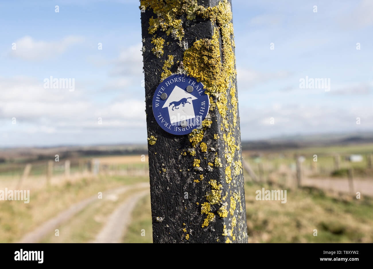 Route marker sign for the White Horse Trail across chalk downland, Marlborough Downs, Wiltshire, England, UK Stock Photo