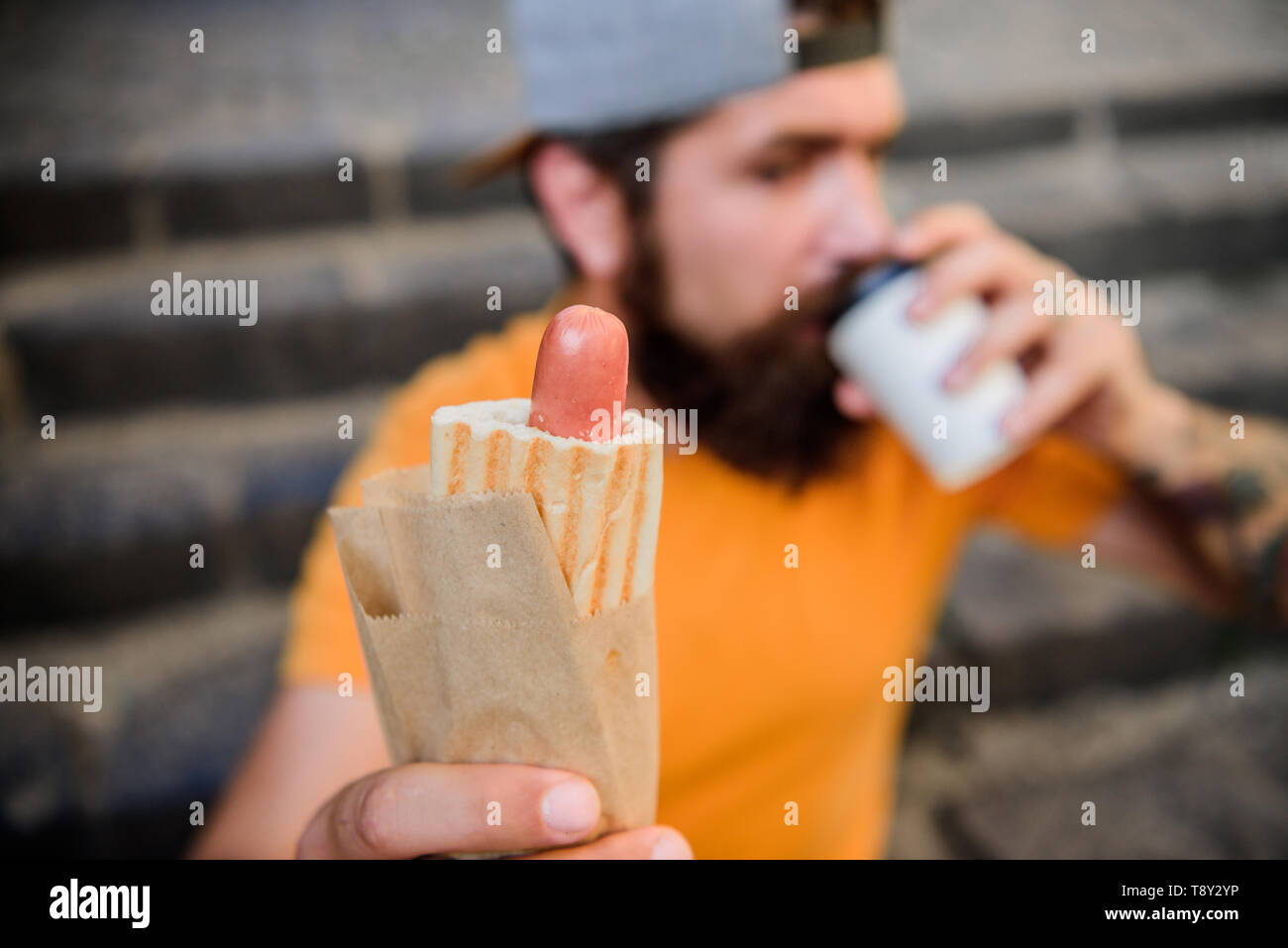 Hot dog sausage in bun. Bearded man eating unhealthy hot dog sandwich