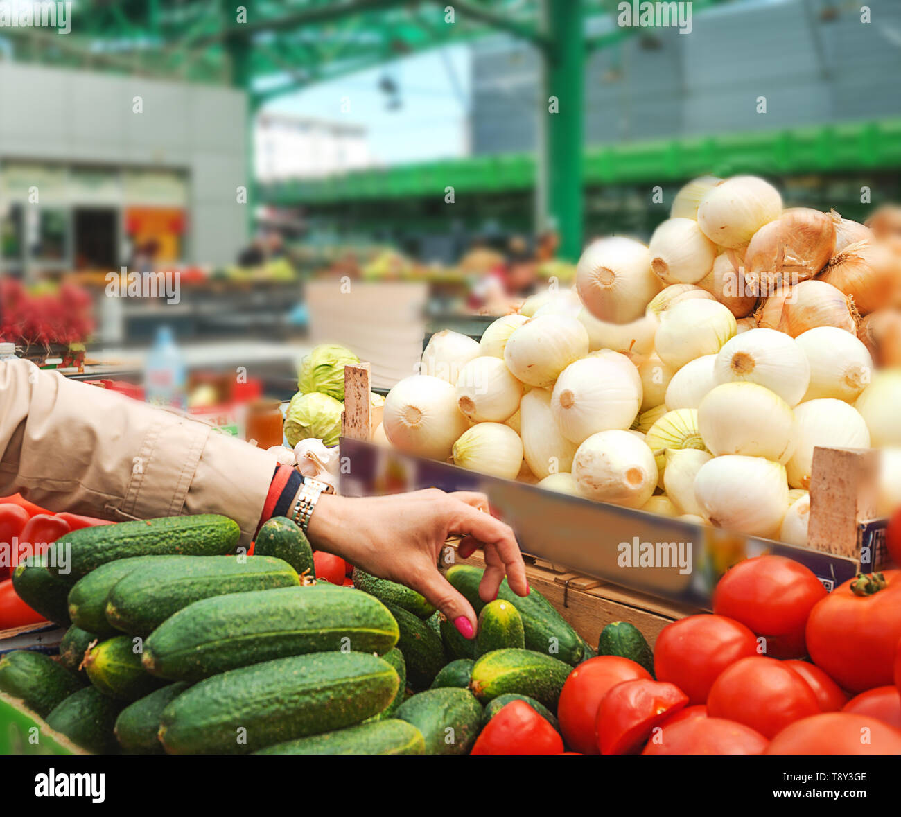 Sales of fresh and organic fruits and vegetables at the green market or
