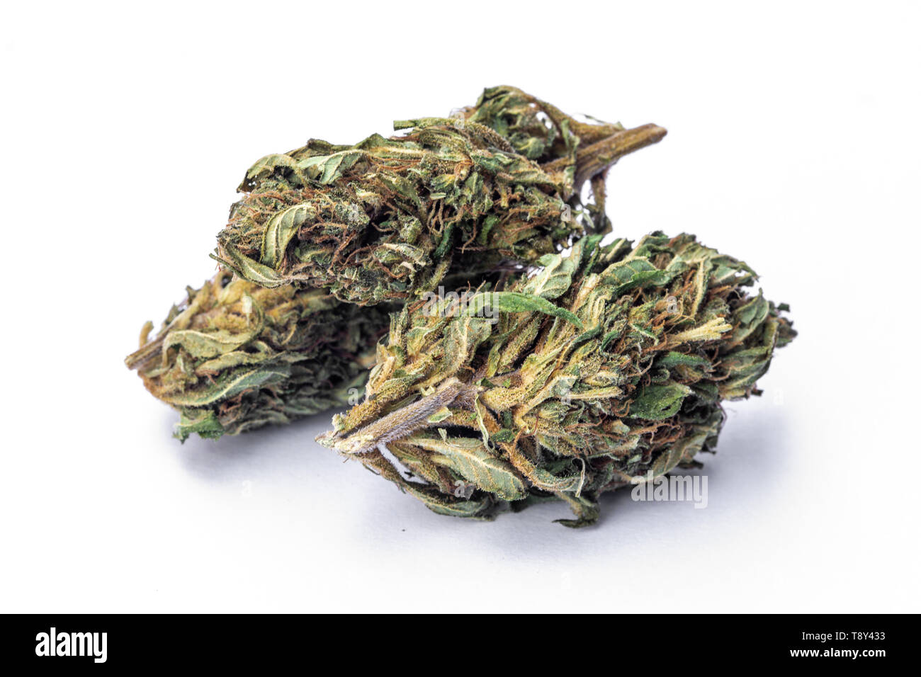 Legal garden Cut Out Stock Images u0026 Pictures - Alamy