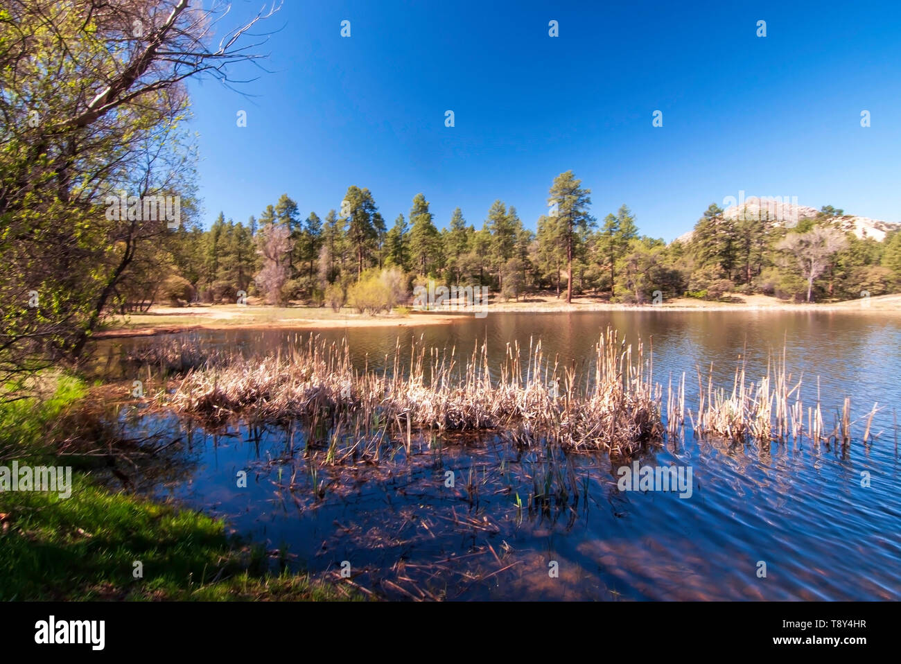 Escape To Granite Basin: Your Gateway To Arizona’s Majestic Wilderness