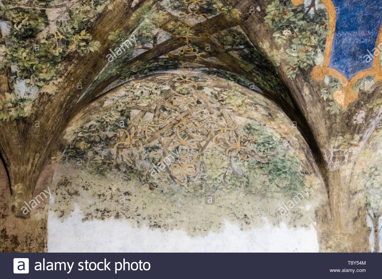 Frescos On Ceiling And Preparatory Drawings Made By Leonardo Da
