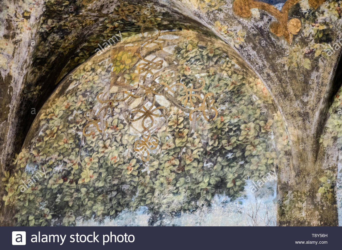 Frescos On Ceiling And Preparatory Drawings Made By Leonardo Da