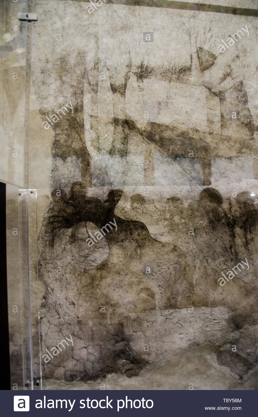Frescos On Ceiling And Preparatory Drawings Made By Leonardo Da
