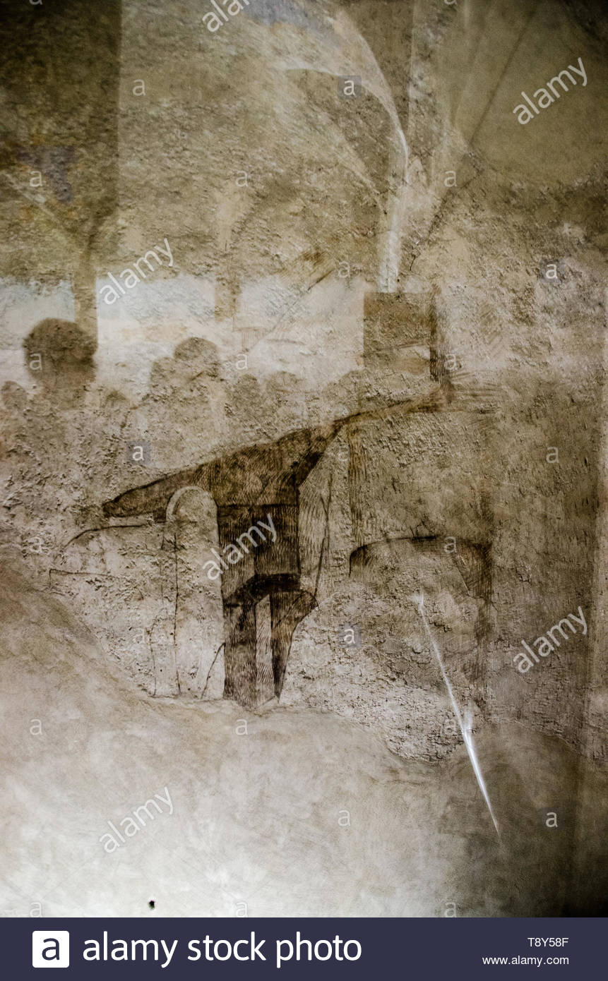 Frescos On Ceiling And Preparatory Drawings Made By Leonardo Da