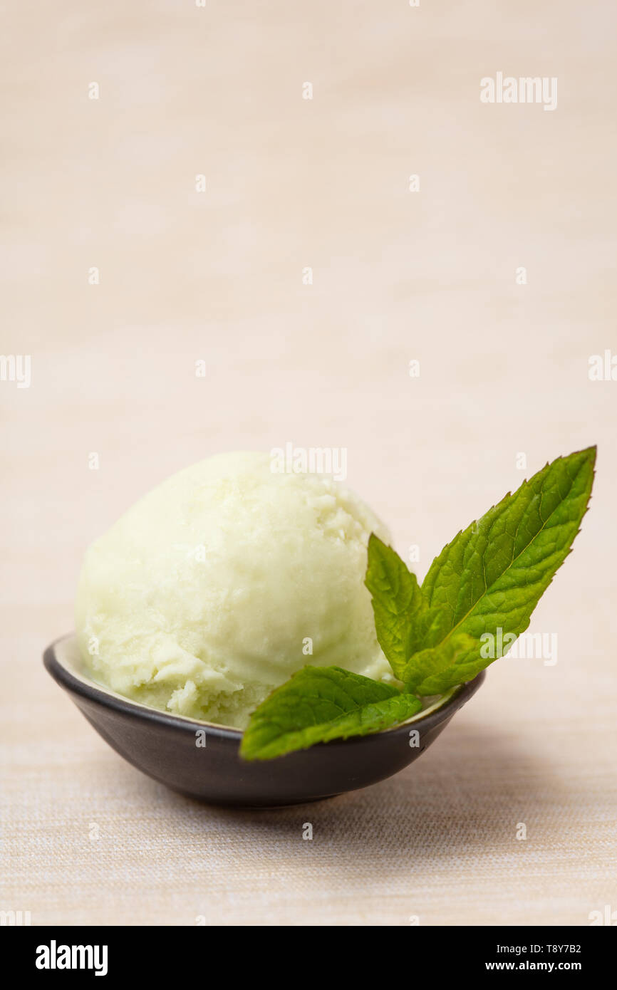 Homemade scoop of peppermint ice cream with fresh Moroccan mint Stock Photo
