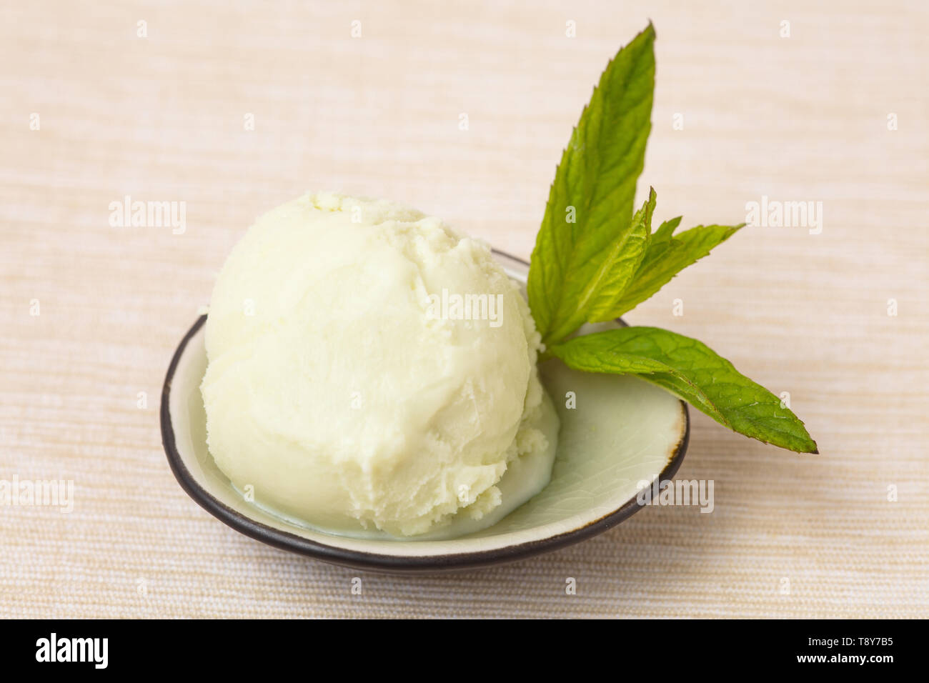 Fresh scoop of mint ice cream with Moroccan mint for decoration Stock Photo