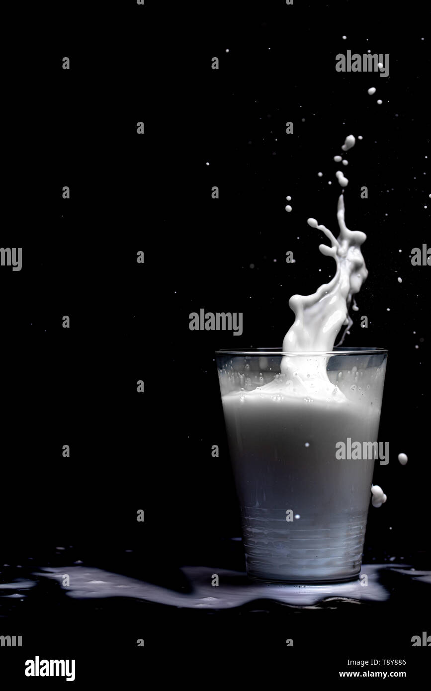 Milk glass splash isolated on black background. Closeup of splashing drops of white beverage or milkshake Stock Photo