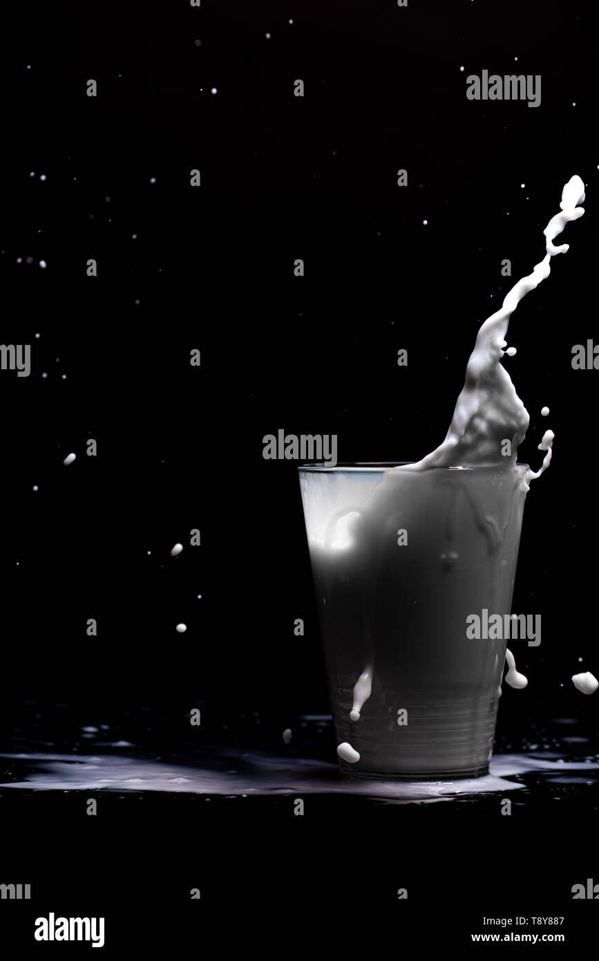 Milk glass splash isolated on black background. Closeup of splashing drops of white beverage or milkshake Stock Photo