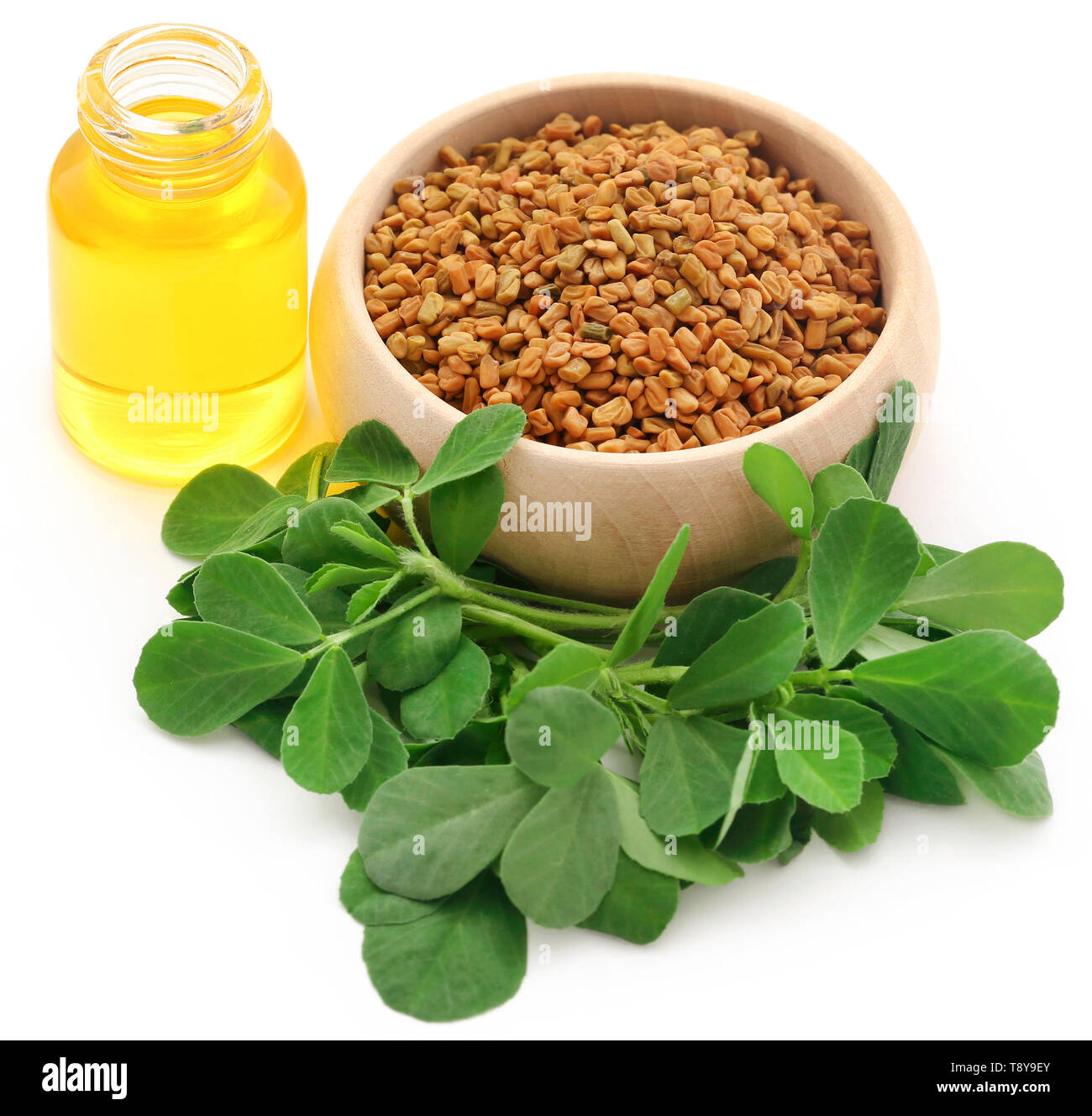 Fenugreek seeds and green leaves with oil in bottle over white background Stock Photo