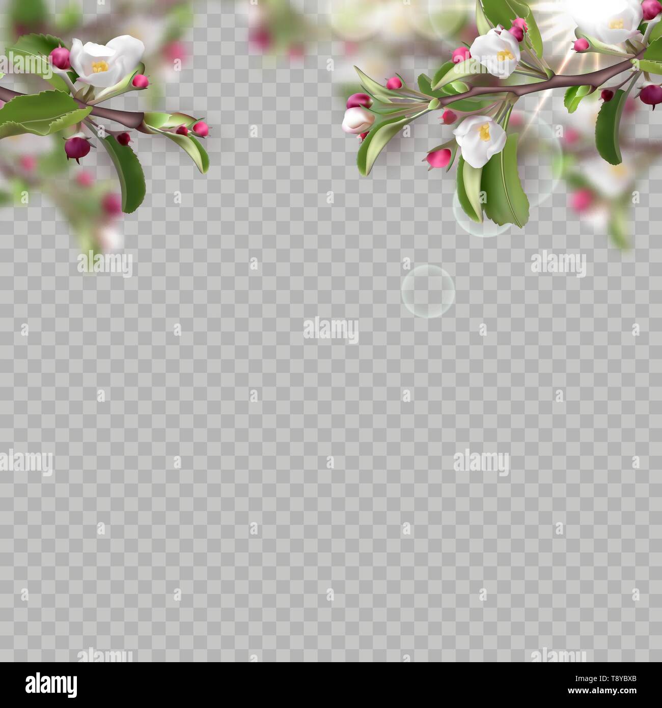Set of realistic flowering branches, apple tree Stock Vector
