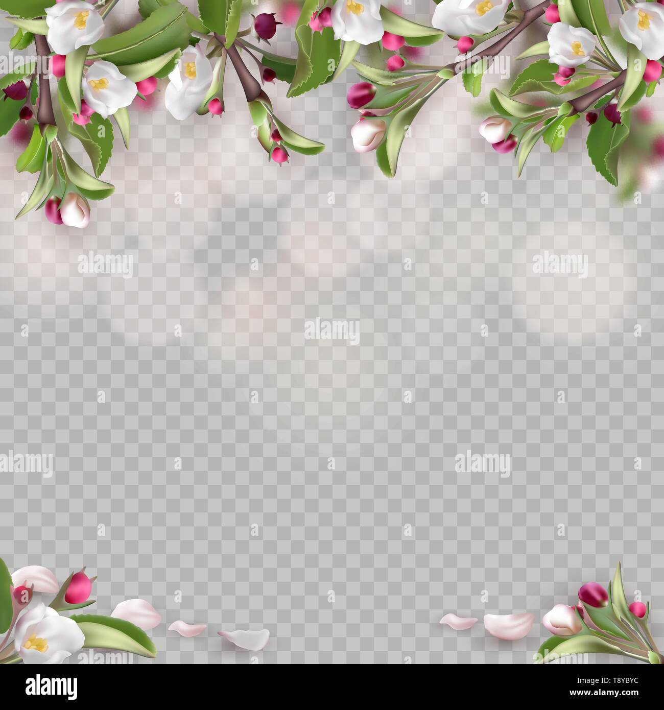 Set of realistic flowering branches, apple tree Stock Vector