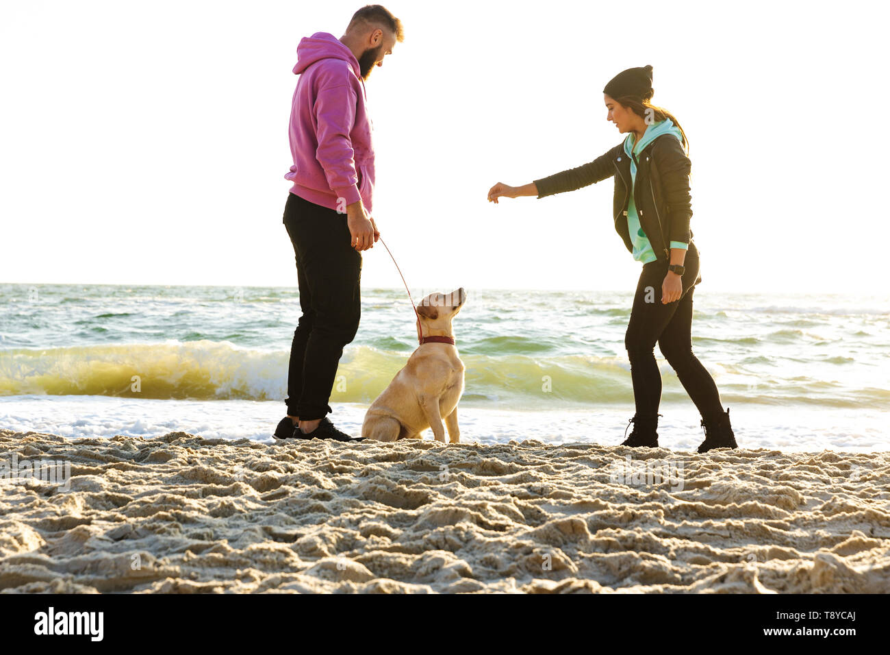 Lovely young couple playing with their dog at the beach Stock Photo - Alamy