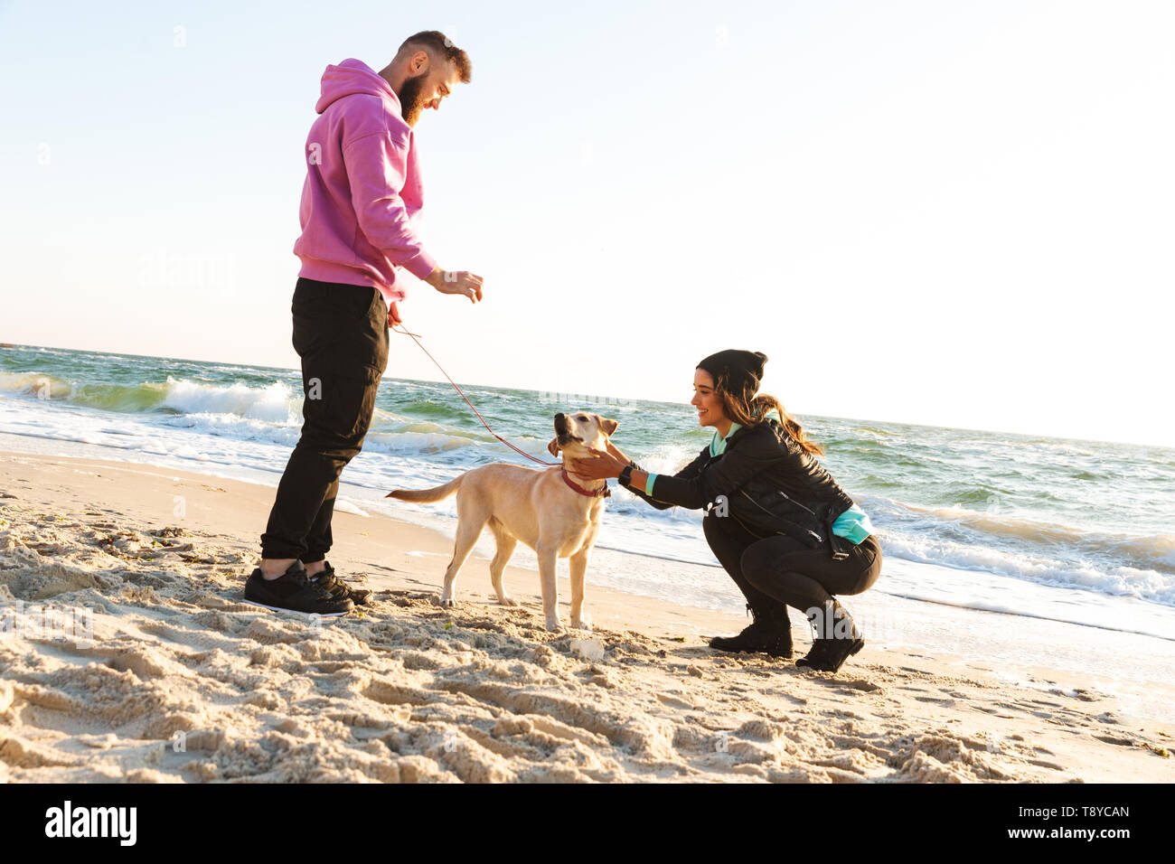 Lovely young couple playing with their dog at the beach Stock Photo - Alamy