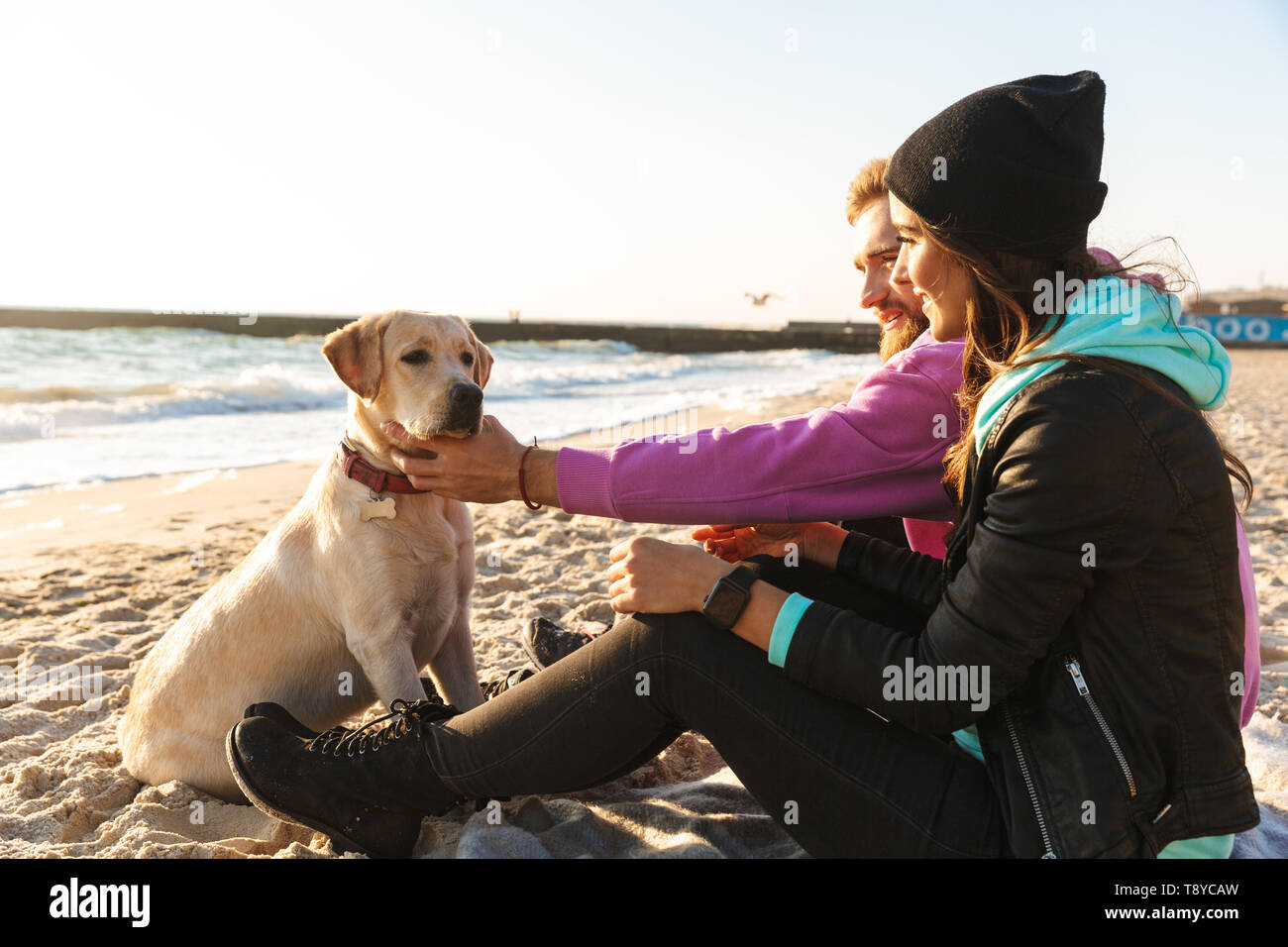 Lovely young couple playing with their dog at the beach Stock Photo - Alamy