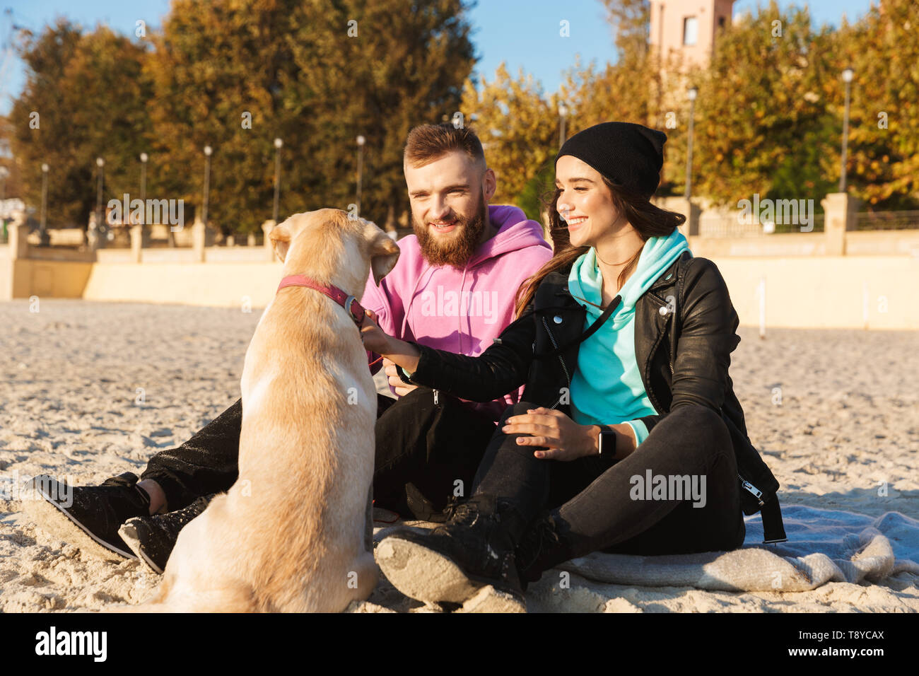 Lovely young couple playing with their dog at the beach Stock Photo - Alamy