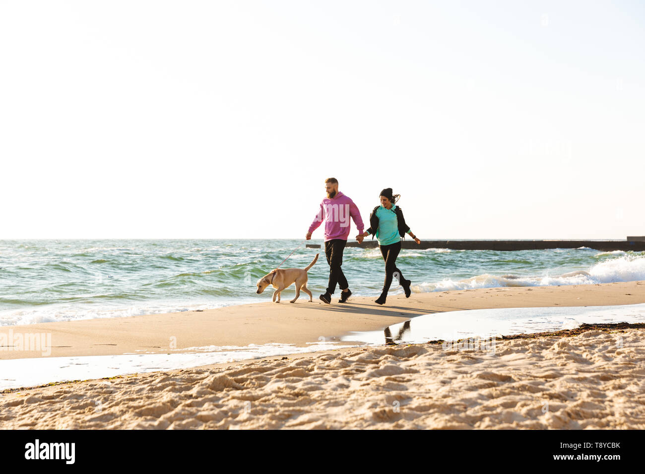Lovely young couple walking with their dog at the beach Stock Photo - Alamy