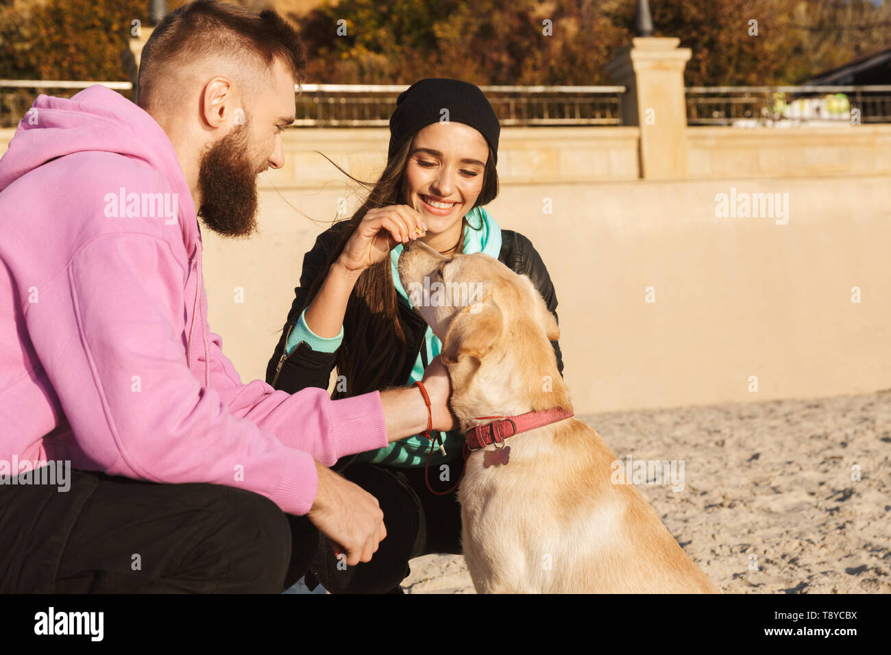 Lovely young couple playing with their dog at the beach Stock Photo - Alamy
