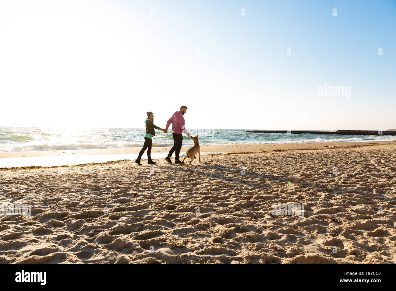 Attractive young couple walking at the beach with their dog Stock Photo ...