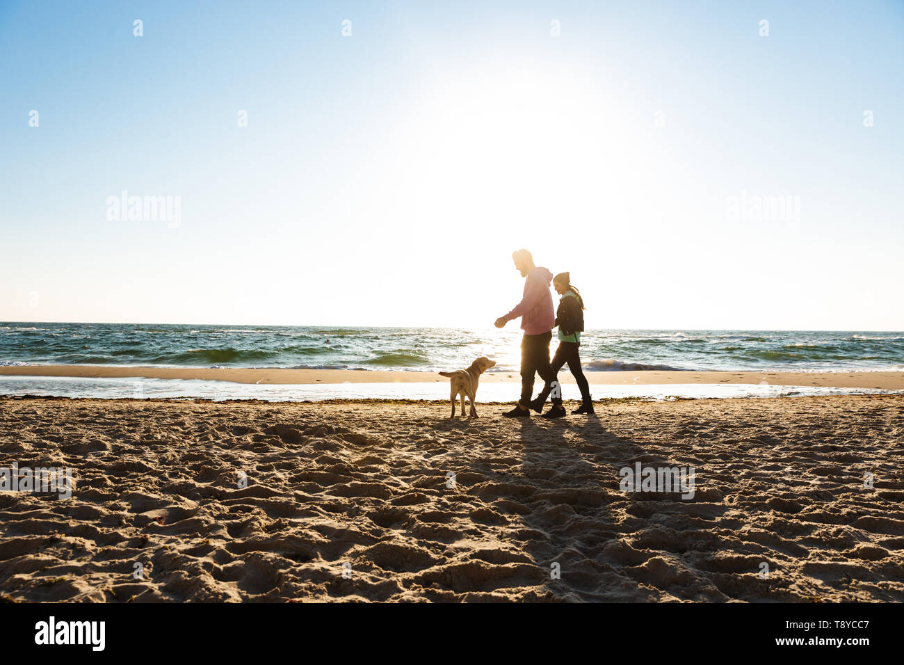 Attractive young couple walking at the beach with their dog Stock Photo ...