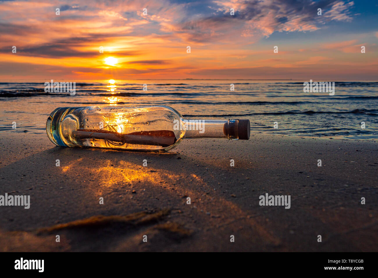 Message in a corked bottle on beach, asking for help Stock Photo