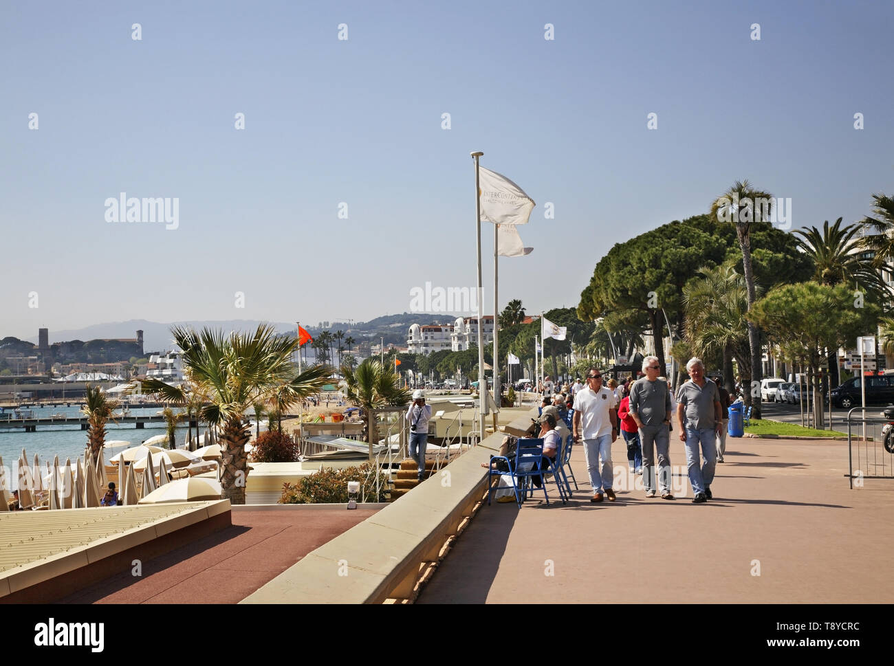 Promenade de la Croisette in Cannes. France Stock Photo - Alamy