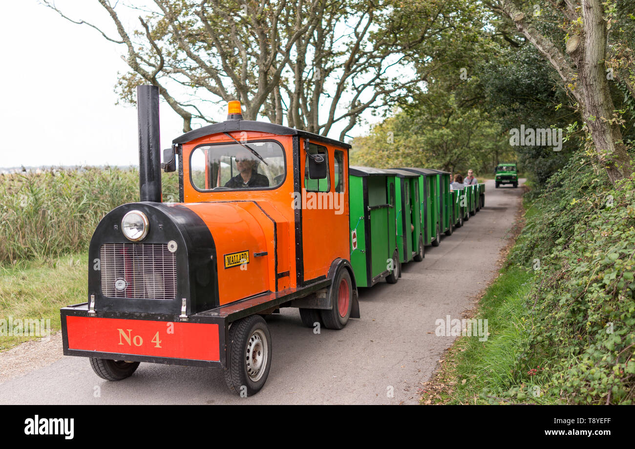 Land train at Hengistbury head running along path to Mudeford Spit ...