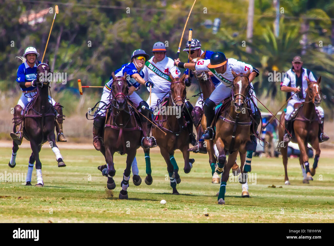 Croquet on horseback San Diego polo club Stock Photo Alamy