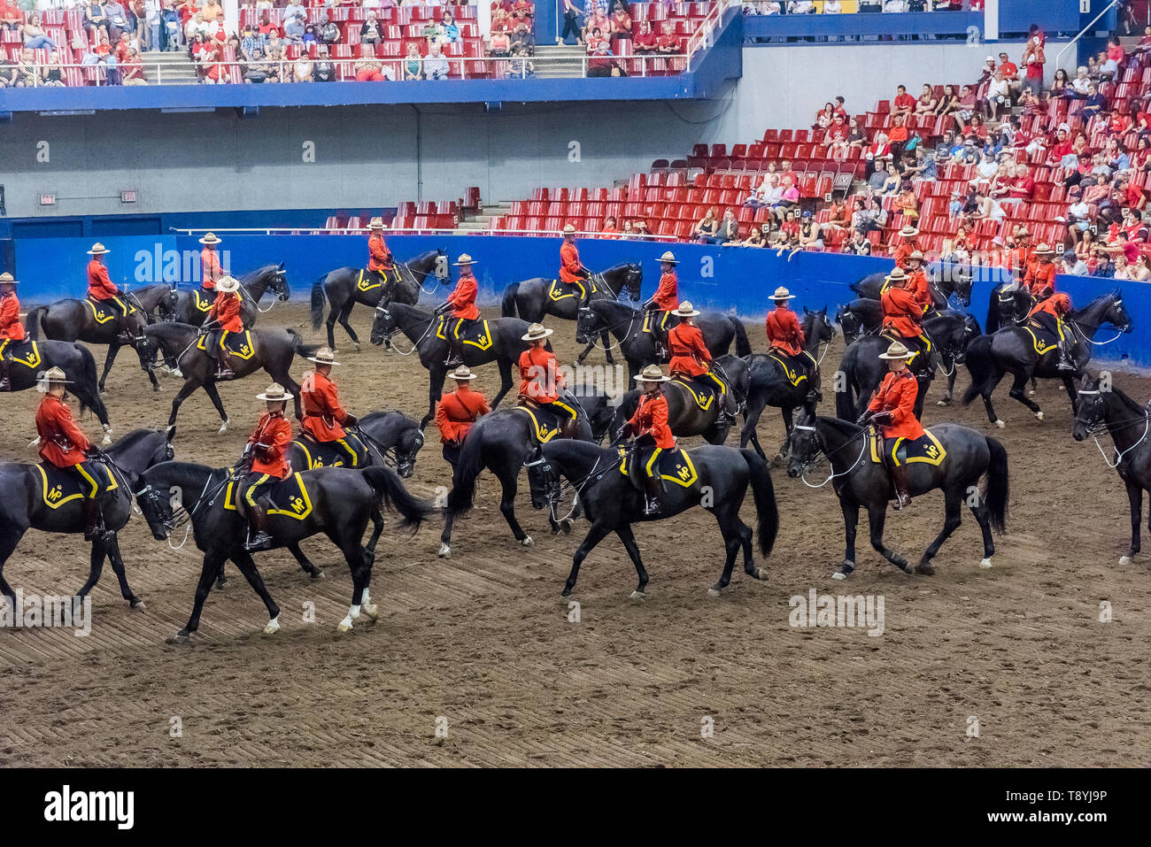 RCMP Musical Ride performance, Vancouver, British Columbia, Canada. Stock Photo