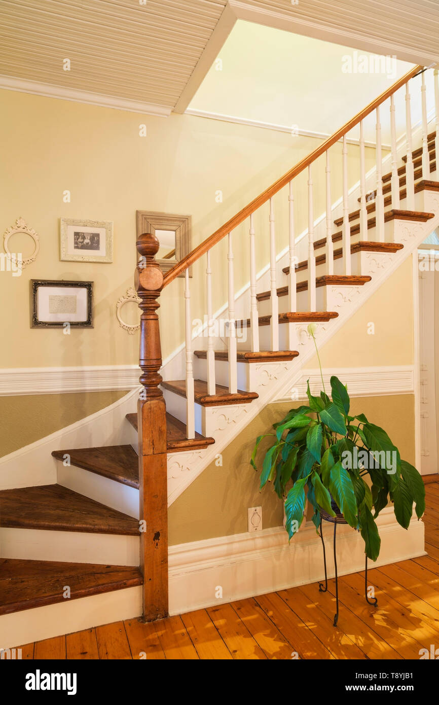 Stained Maple Wood Staircase With White Painted Carved
