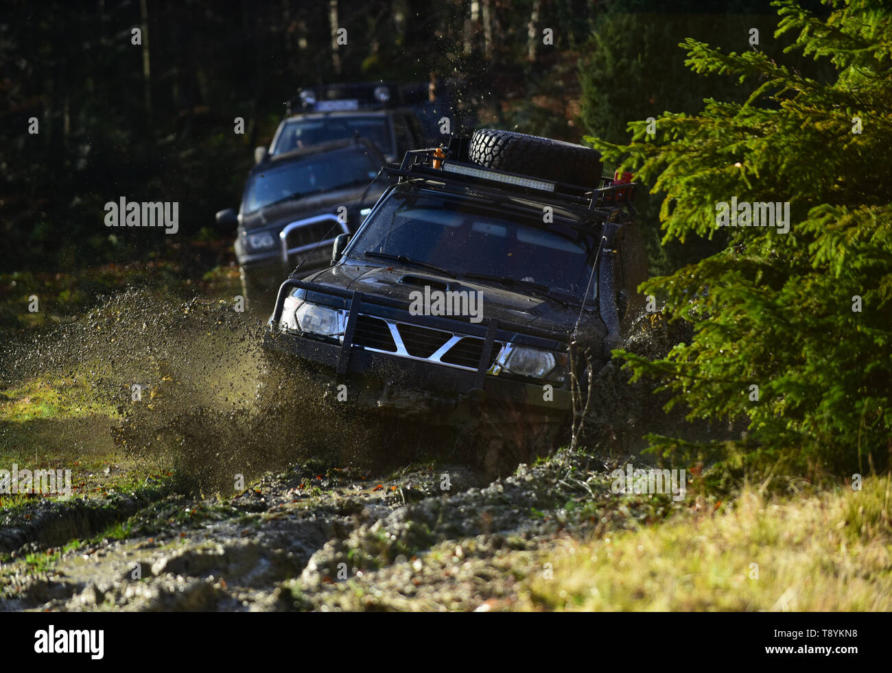 Car racing in autumn forest. Competition, energy and motorsport concept ...