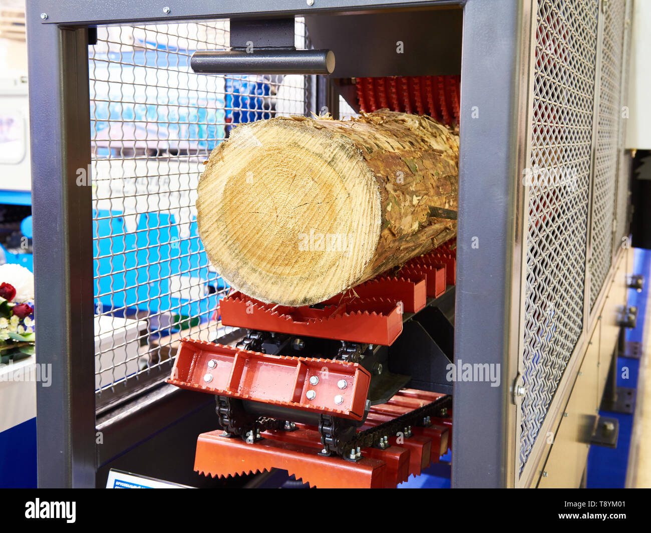 Log in wood working machine with planar separator in factory Stock Photo