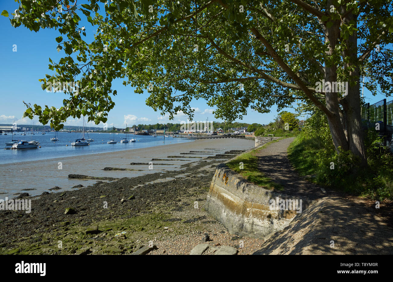 Shoreline on the River Medway at Lower Upnor, Kent,UK.The Saxon Shore Way footpath can be seen on the right hand side of the photograph. Stock Photo