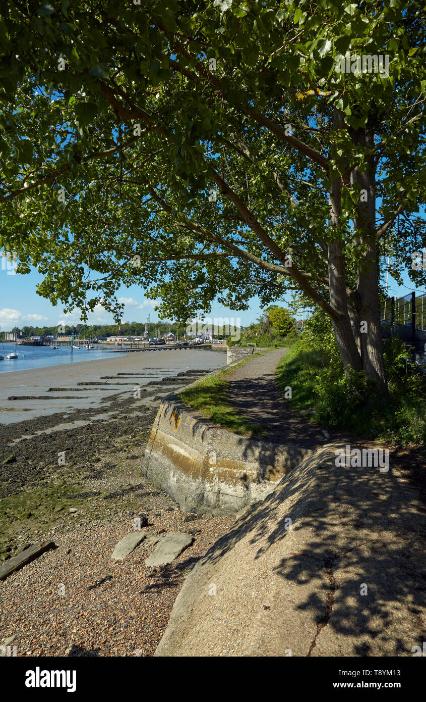 Shoreline on the River Medway at Lower Upnor, Kent,UK.The Saxon Shore Way footpath can be seen on the right hand side of the photograph. Stock Photo