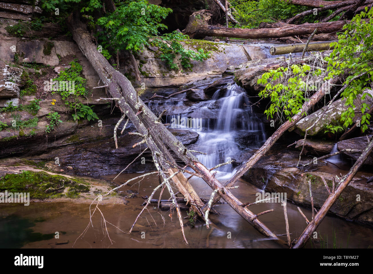 Water falls over rocks at Broke Leg Falls near Salyersville, Ky. Stock Photo