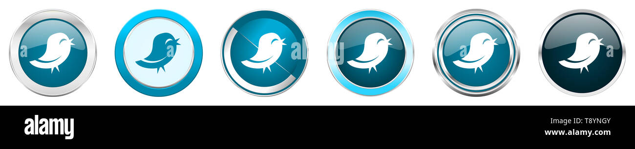 Twitter silver metallic chrome border icons in 6 options, set of web ...