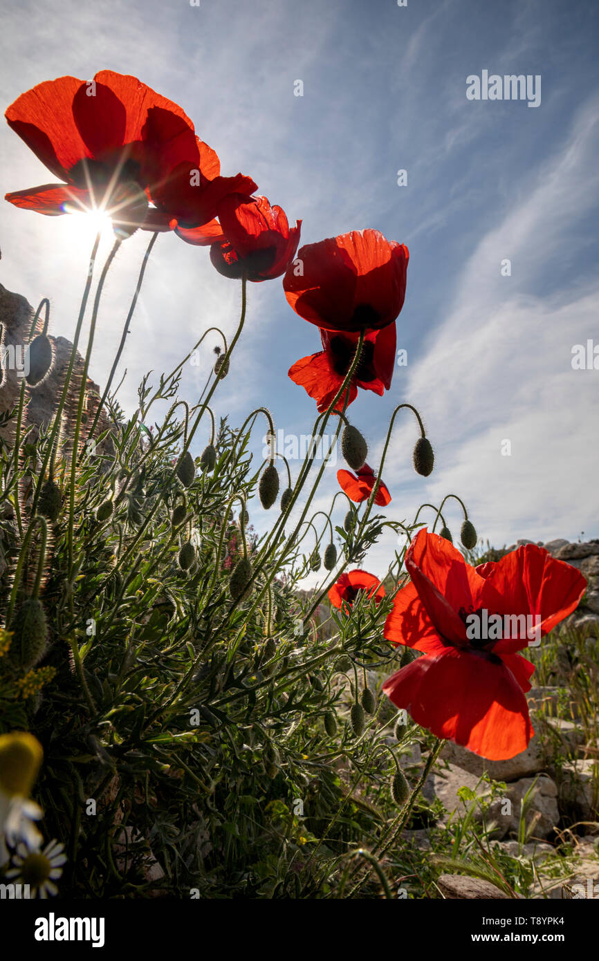 May warm sunny spring summer hi-res stock photography and images - Alamy