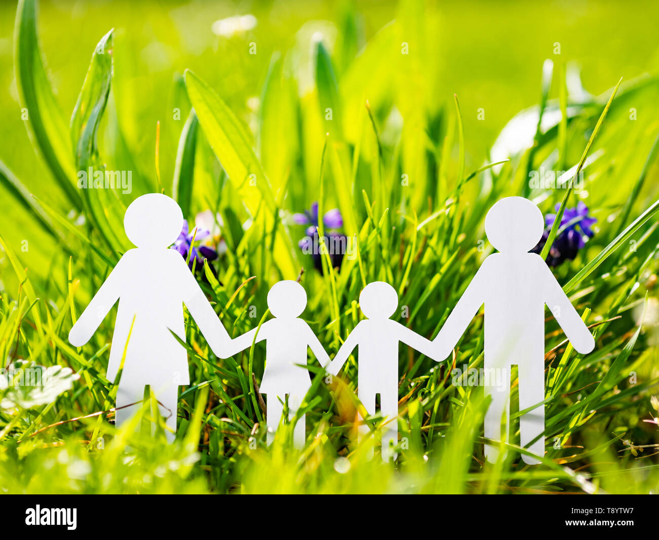 Paper family on green grass background Stock Photo - Alamy