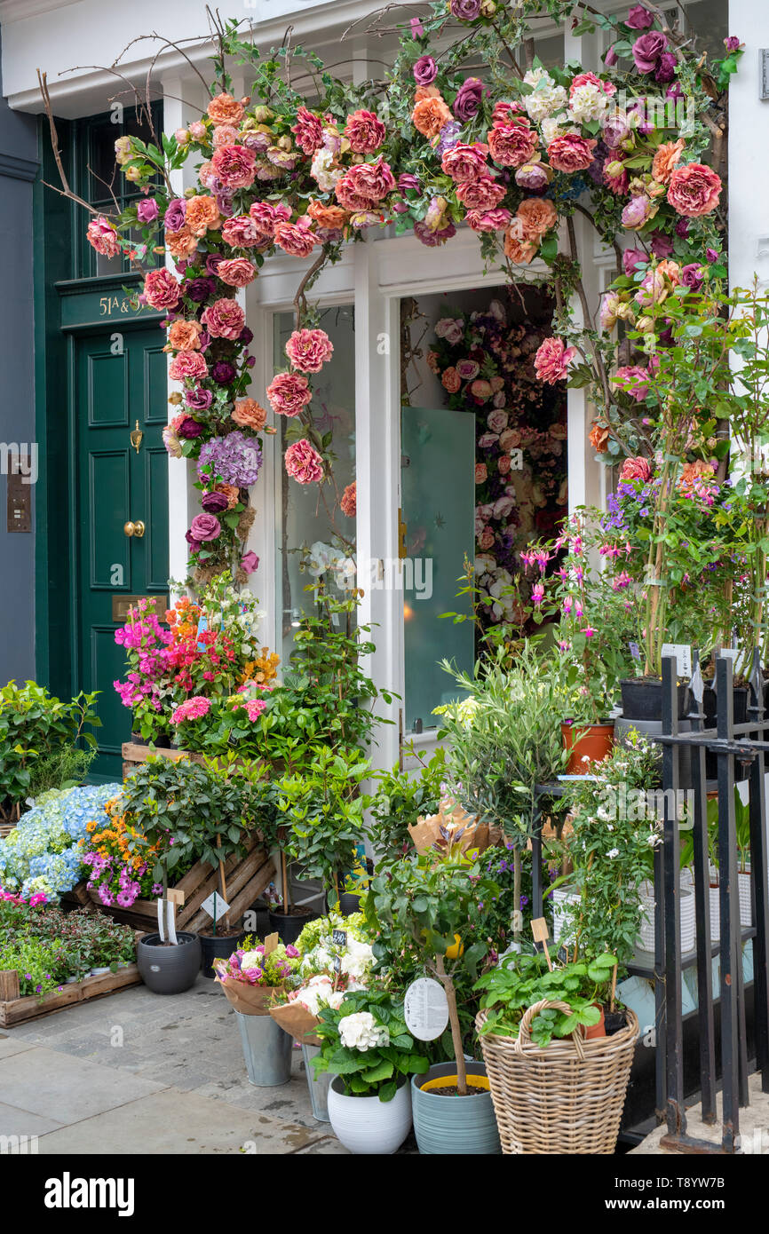Moyses Stevens florist shop. Elizabeth Street, Belgravia, London