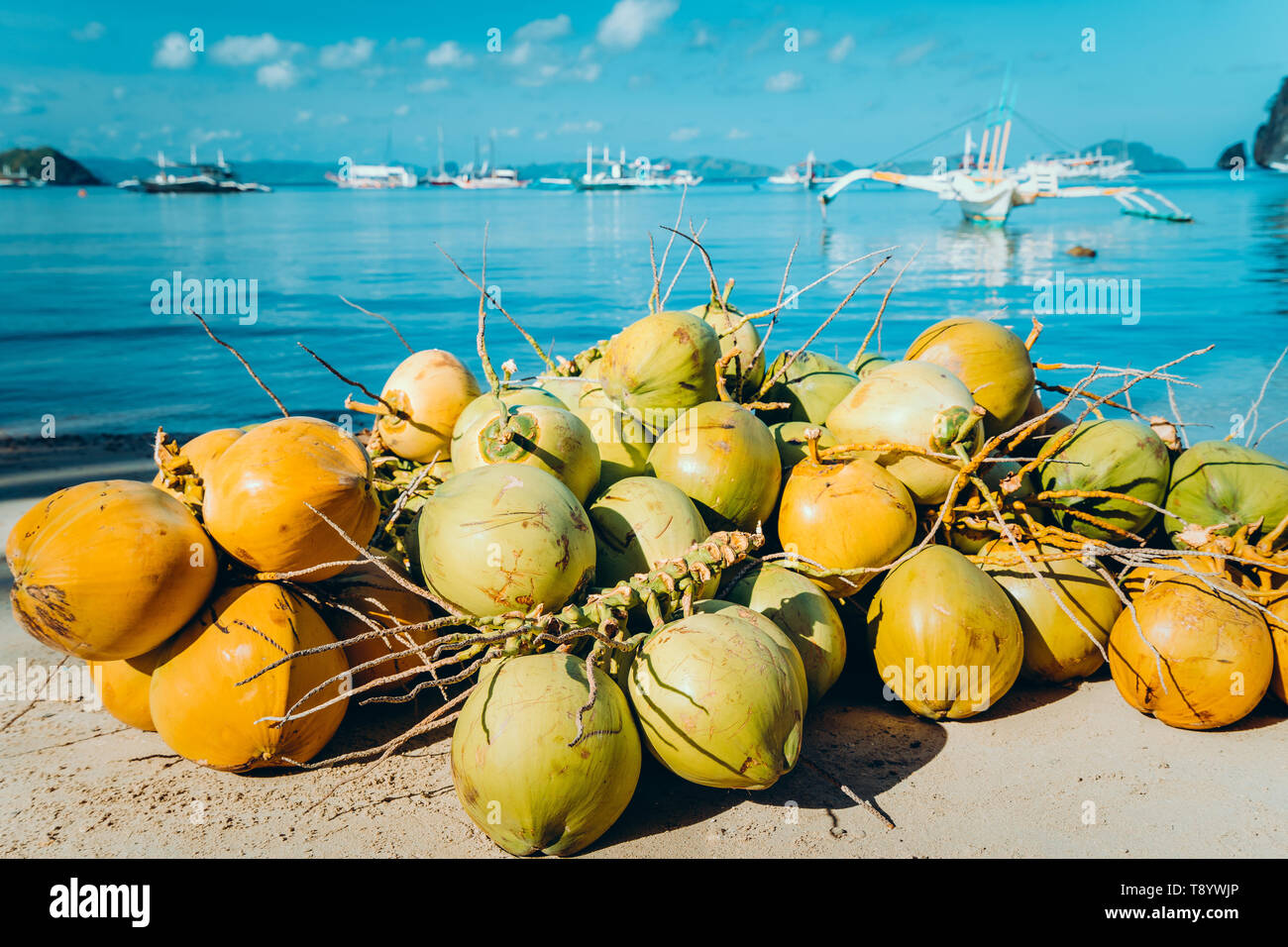Branch Of Coconut Fruits On The Corong Corong Beach In El Nido Palawan Philippines Stock Photo Alamy