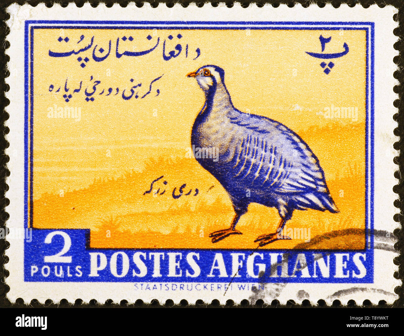 Partridge on afghani postage stamp Stock Photo