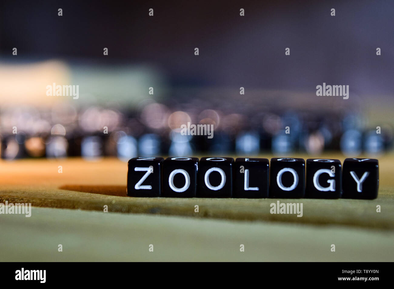 Zoology Wallpaper