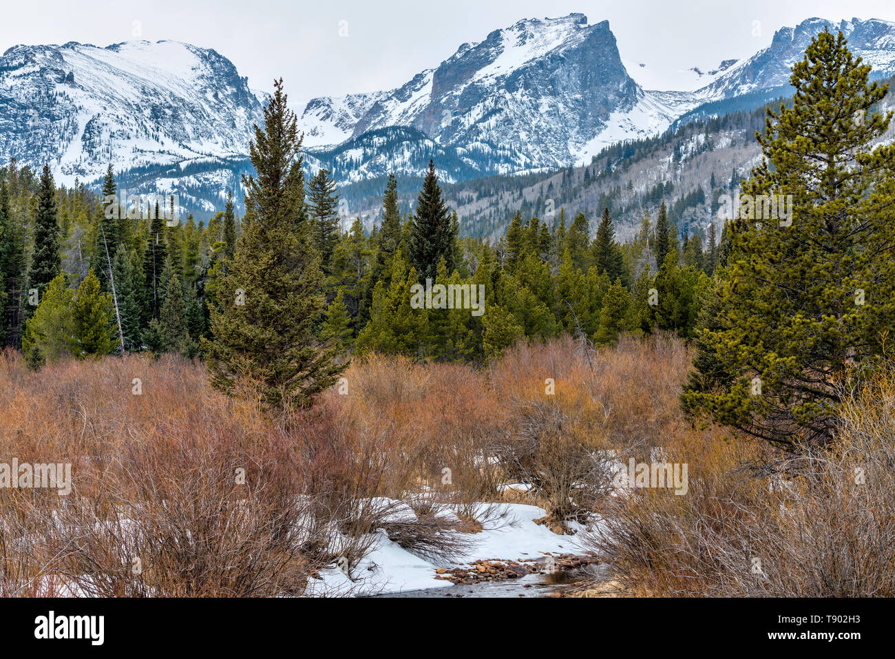 Spring Mountains - Snow-capped peaks: Hallett Peak, Otis Peak and Flattop Mountain, surrounded by pine forest in Rocky Mountain National Park, Co, USA. Stock Photo