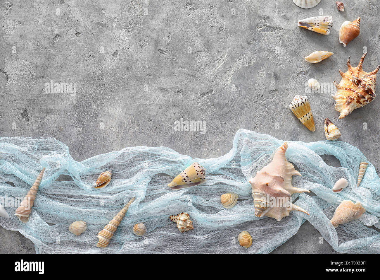 Composition With Shells Composition with different sea shells on grey background Stock Photo ...
