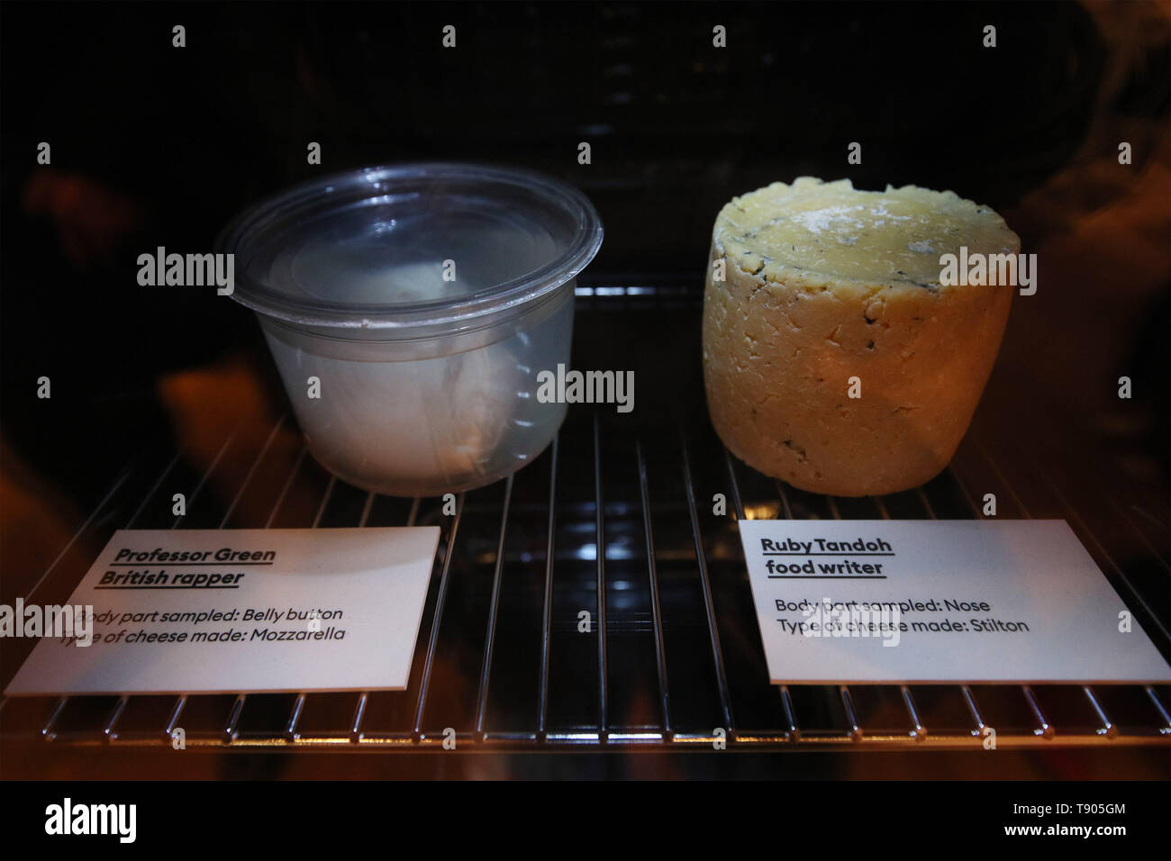 Human bacteria hires stock photography and images Alamy