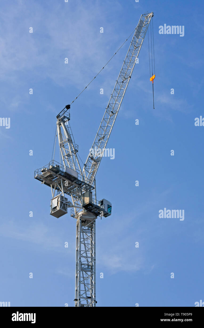 White Crane Design Build