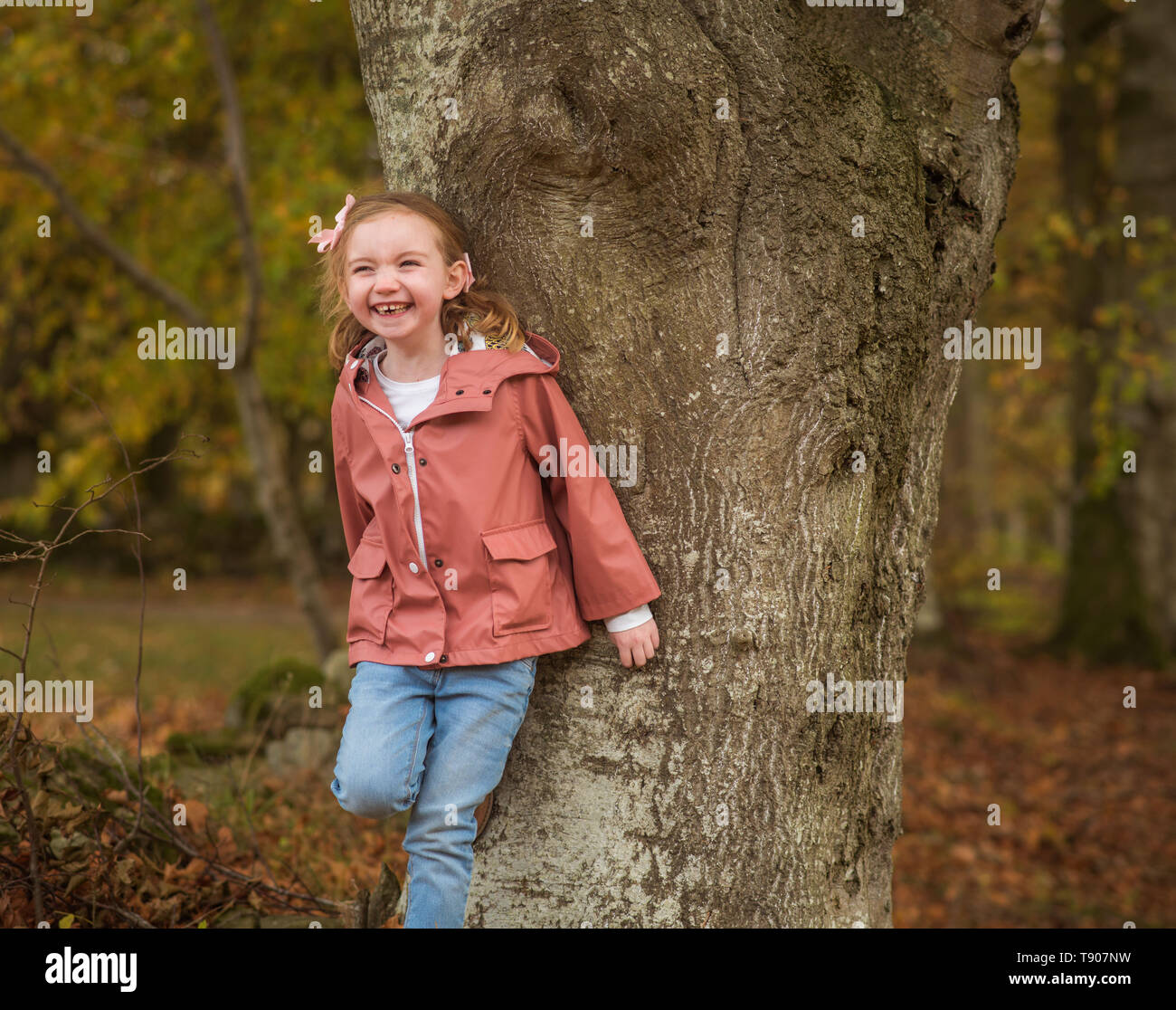 Little girl standing by tree laughing in autums Stock Photo - Alamy
