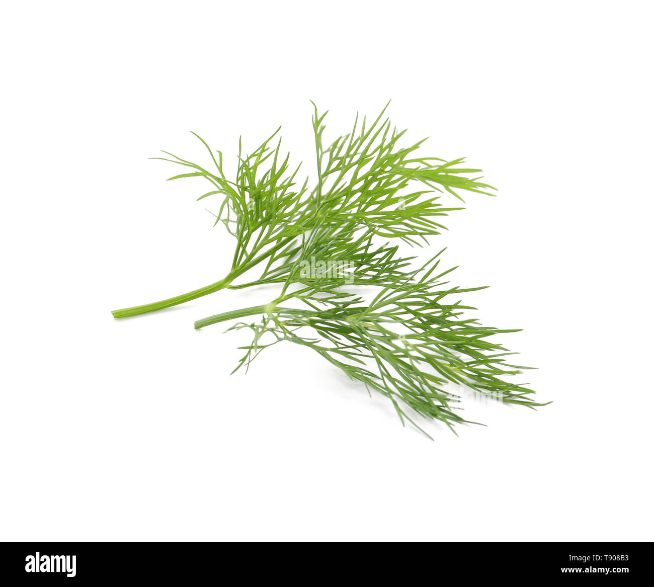 Fresh aromatic dill on white background Stock Photo - Alamy