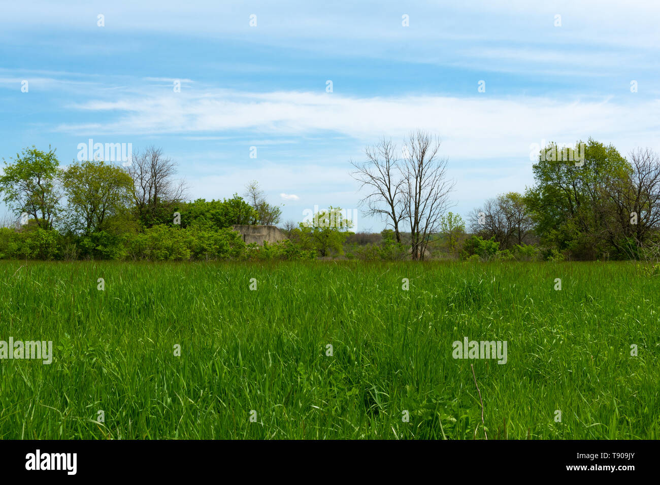 Grass field with old bomb shelter covered with overgrowth in the background.  Widewin National Tallgrass Prairie, Wilmington, Illinois Stock Photo - Alamy