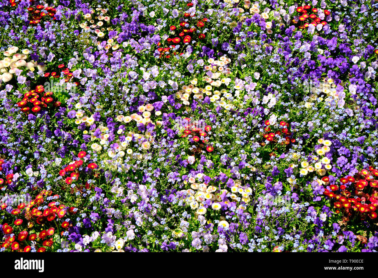 Round flower bed hires stock photography and images Alamy
